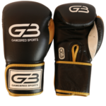 e2 entry level leather boxing glolves